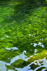 Close-up of the water of the pool in a public park. Clear water with reflection. Water reflection. Nature scene.