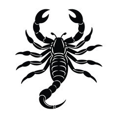 Silhouette of a Scorpion Design with Intricate Details on White Background (1)