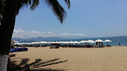 tropical beach with palm trees