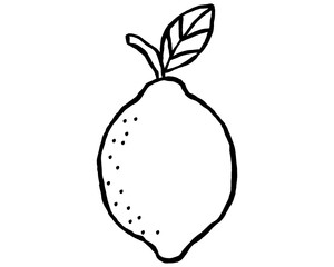 seamless lemon icon - hand-drawn fruit doodle style