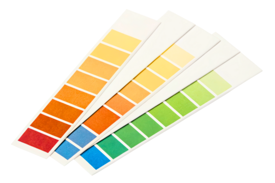 Collection of colorful paint swatch samples for home decor isolated with transparent background