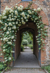Fototapeta premium Aged Brick Archway with White Flowers and Ivy