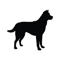 Dog silhouette vector illustration, domestic pet