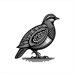 Ornate black and white quail bird illustration