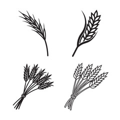 line art of paddy ear bundle