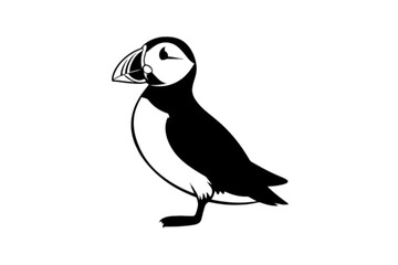 Fototapeta premium Atlantic Puffin Standing Profile seabird bird