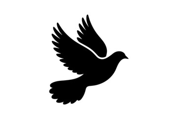 Obraz premium Dove in Flight bird flying