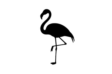 Fototapeta premium Elegant Flamingo Standing on One Leg bird animal