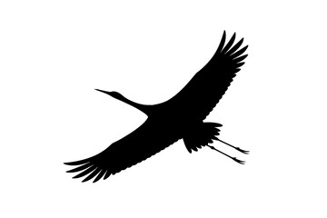 Fototapeta premium Graceful Crane in Flight Silhouette bird flying