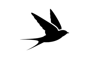 Graceful Swallow in Flight bird flying