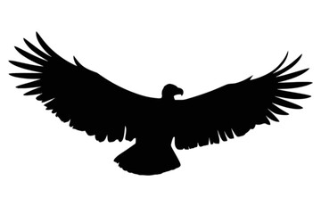 Obraz premium Majestic Eagle in Flight bird flying