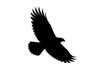 Obraz premium Majestic Elephant Silhouette animal wildlife