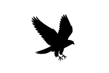 Fototapeta premium Majestic Falcon in Flight Silhouette bird raptor