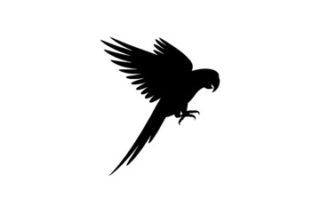 Fototapeta premium Parrot in flight bird flying