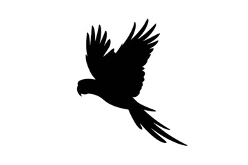 Naklejka premium Parrot in Flight Silhouette bird flying