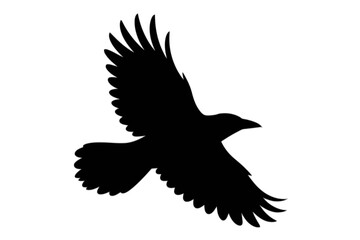 Fototapeta premium Raven in Flight Silhouette bird flying