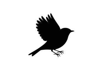 Fototapeta premium Small bird in flight flying silhouette