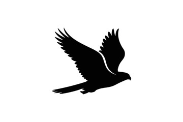 Fototapeta premium Soaring Bird of Prey Silhouette falcon hawk