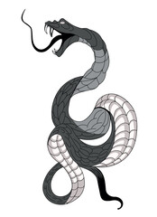Snake tattoo isolated in white background. Black gray ornament