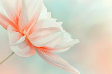 close up of a flower