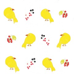 pattern with birds and berries, berries, pattern, set of berries, summer, food, vegetarian, bright, currant, yellow birds