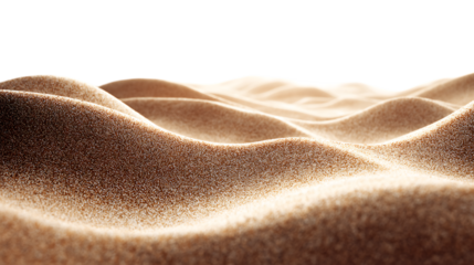 Textured Sand Dunes