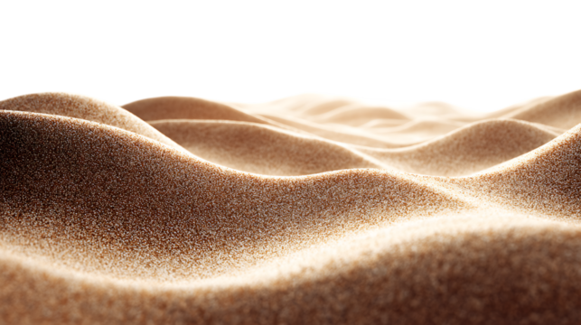 Textured Sand Dunes