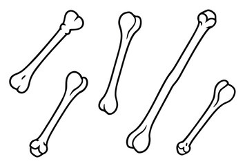 Humerus Line Art Explains Arm Mechanics