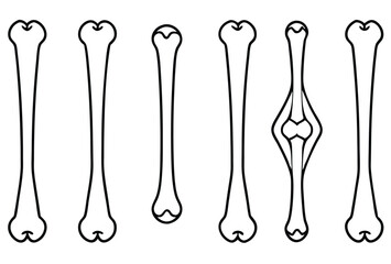 Humerus Line Art Guides Medical Study
