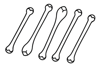 Humerus Line Art Illustrates Bone Structure