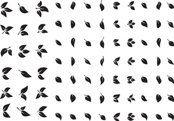 leaves and leaves in various shapes