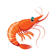 shrimp vector on white background
