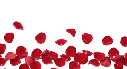 Scattered red rose petals falling downwards isolated on transparent background