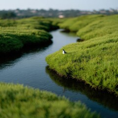 Soft river curves through pine hills, light reflections, birds perched on driftwood