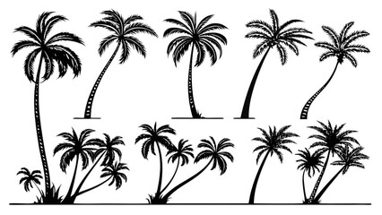 Naklejka premium Palm trees silhouettes drawing summer beach isolated on transparent background