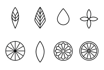 infusion sets line art modern illustration