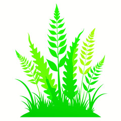 Obraz premium green leaves isolated on white