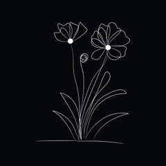 black and white flower