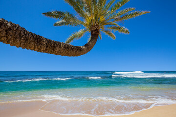 Tropical beach
