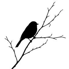 Silhouette of a small bird perched on a bare winter branch.
