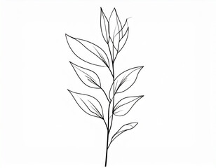 Fototapeta premium vector illustration of a branch with leaves