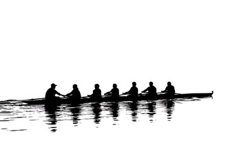 Team rowing silhouette on calm water