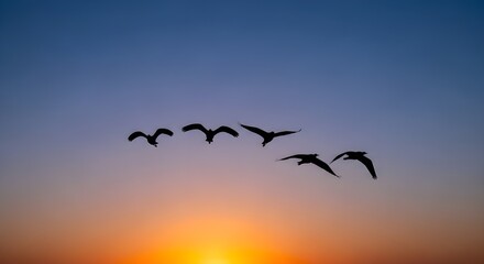 a picture of a sunset, beautiful sky and flying birds