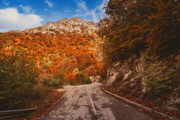Naklejka premium Curved mountain road surrounded by autumn forest and rocky cliffs, leading toward a colorful hillside under a bright blue sky in the fall season.
