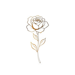 Elegant outline of a rose with a golden hue isolated on transparent background