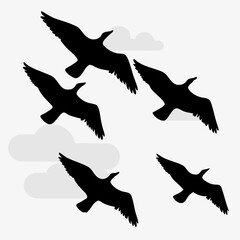 Fototapeta premium silhouettes of birds