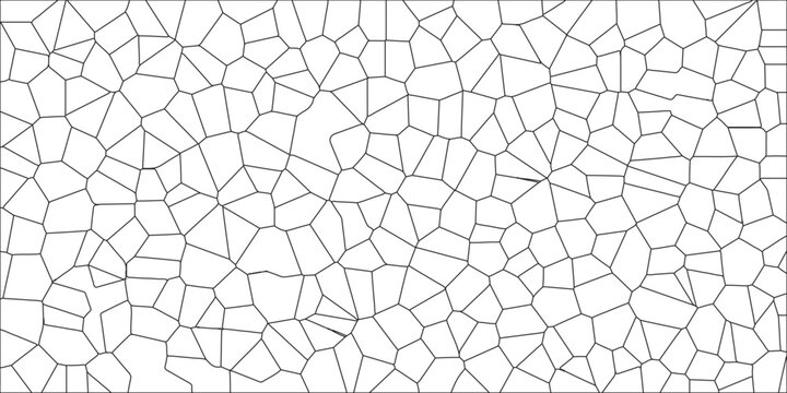 A Complex Digital Fractal Pattern and Interwoven Algorithmic Details. Black & white broken quartz stained glass & seamless pattern vintage background. Retro White Camouflage Seamless Vector Pattern wi