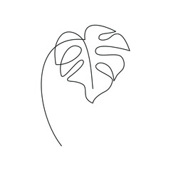 monstera flower one line. Vector drawing.
