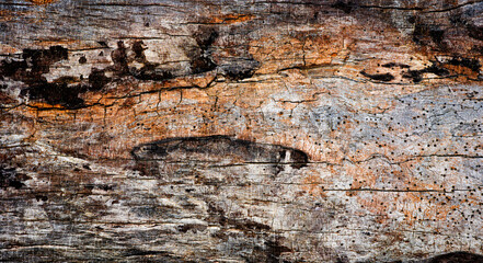 Old Rough Wooden Plank Surface.Aged, Aged, gray-toned wooden texture with cracks and bark remains, perfect for natural design elements or antique-style digital projects.