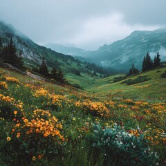 Fototapeta premium A vibrant alpine meadow ablaze with wildflowers, nestled within a misty, mountainous valley under a cloudy sky